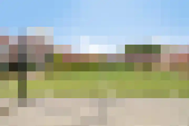 Vogelzangsweg 12 Goes thumbnail 46