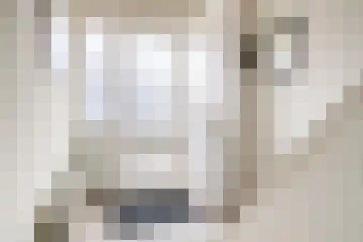 Vogelzangsweg 12 Goes thumbnail 7