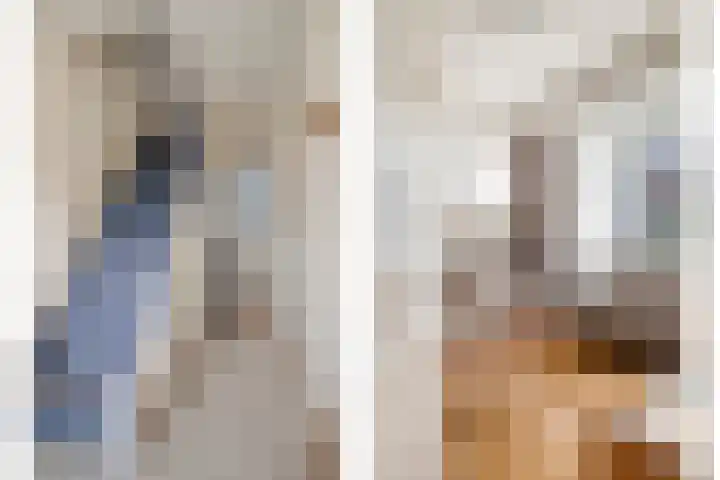 Vogelzangsweg 12 Goes thumbnail 8