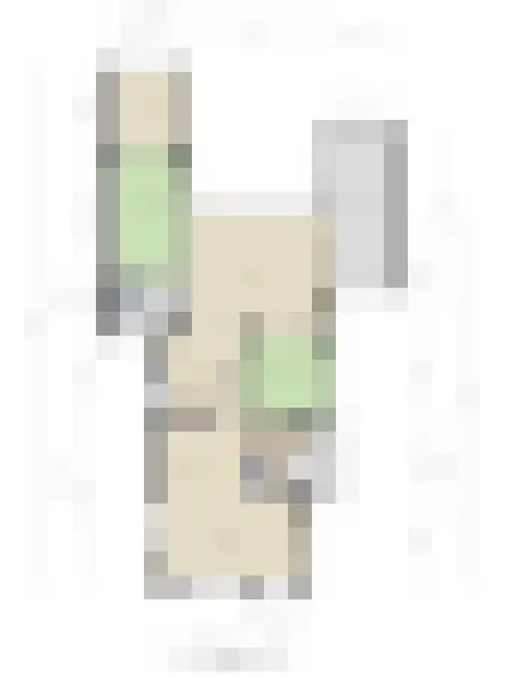 Vogelzwin 11 Sneek thumbnail 12
