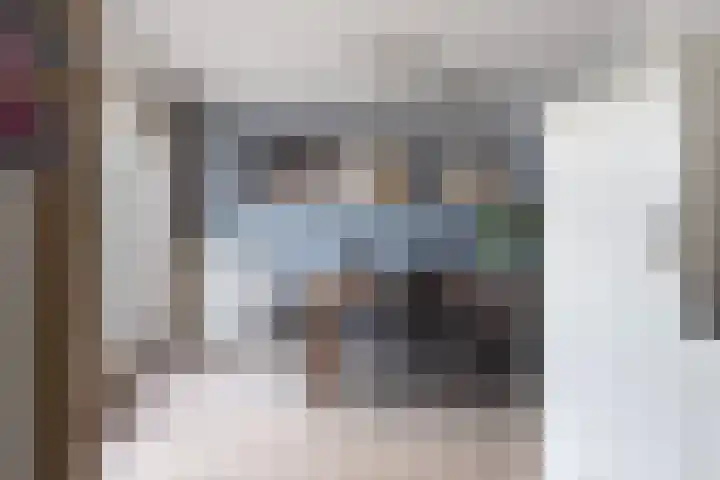Vogelzwin 11 Sneek thumbnail 13