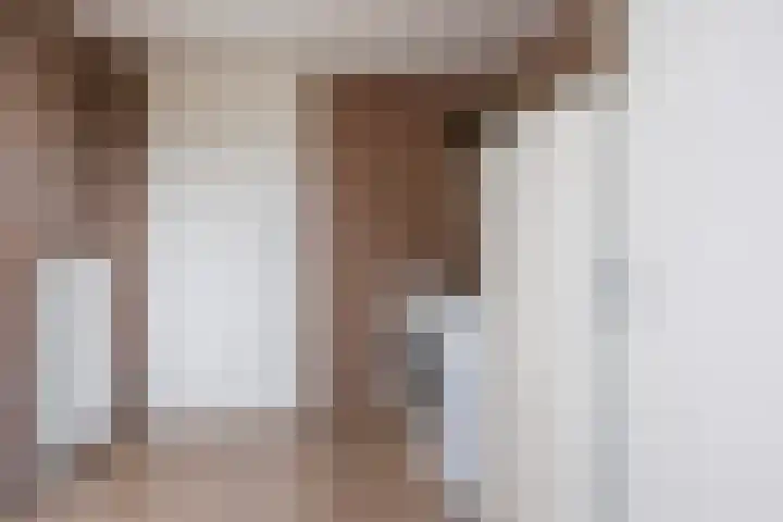 Vogelzwin 11 Sneek thumbnail 18