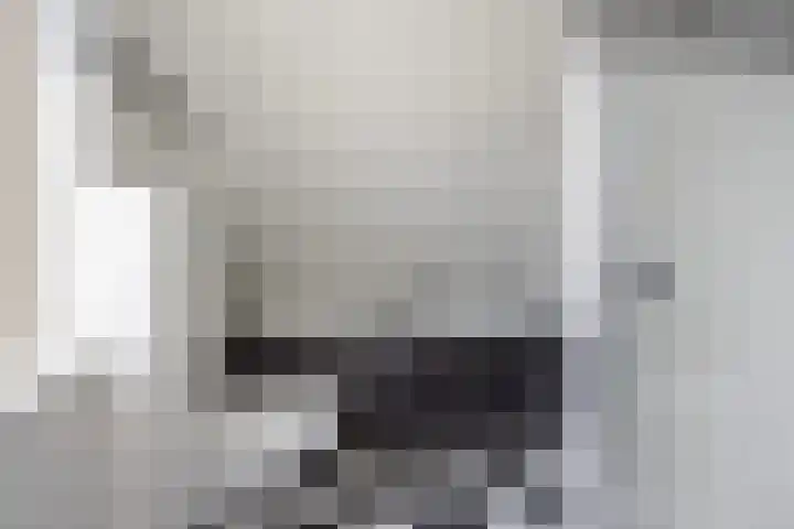 Vogelzwin 11 Sneek thumbnail 23