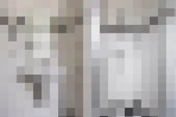 Vogelzwin 11 Sneek thumbnail 25