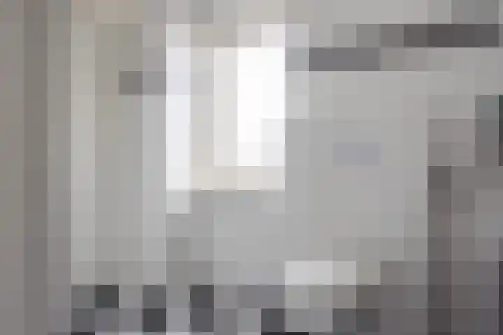 Vogelzwin 11 Sneek thumbnail 26