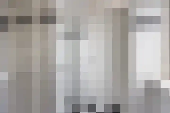 Vogelzwin 11 Sneek thumbnail 27