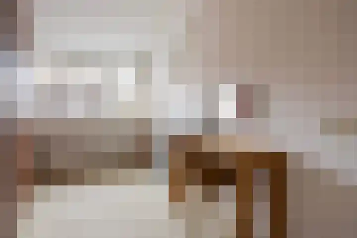 Vogelzwin 11 Sneek thumbnail 28