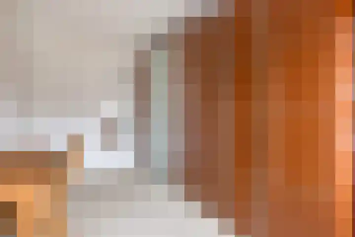 Vogelzwin 11 Sneek thumbnail 29