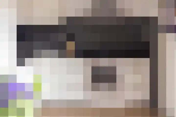 Vogelzwin 11 Sneek foto 3