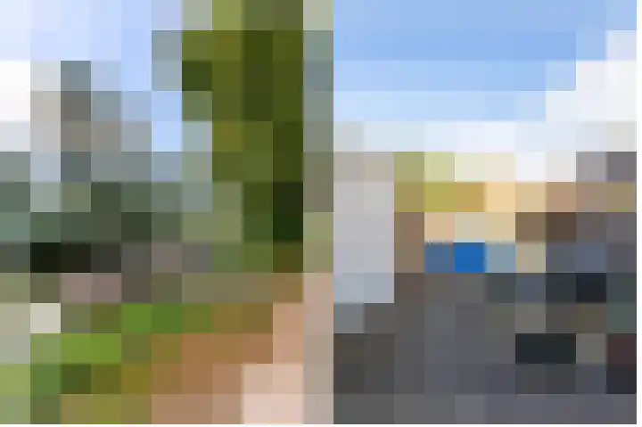 Vogelzwin 11 Sneek thumbnail 30