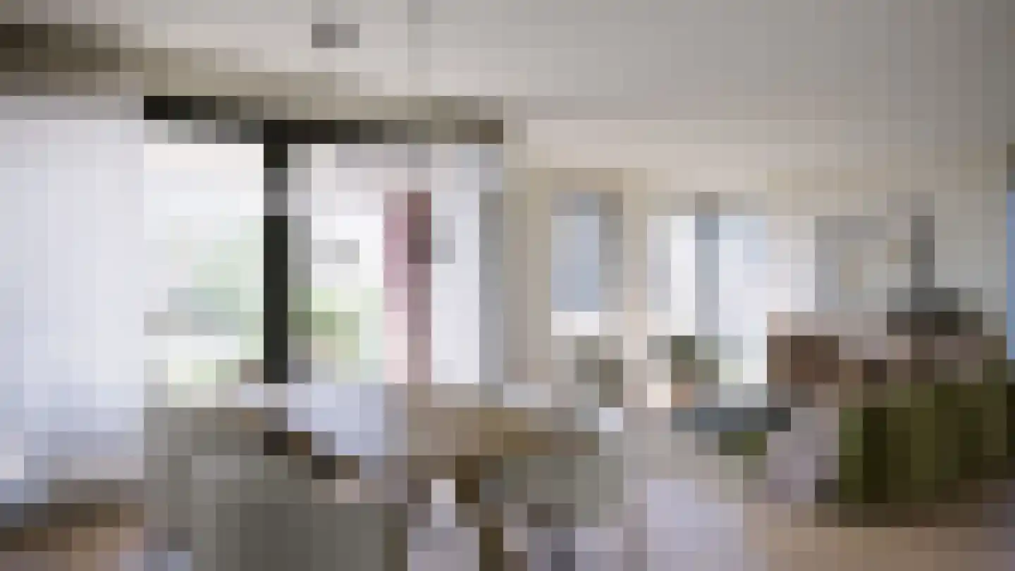 Vogelzwin 11 Sneek thumbnail 31
