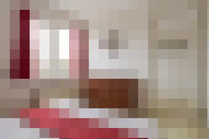 Vogelzwin 11 Sneek thumbnail 32