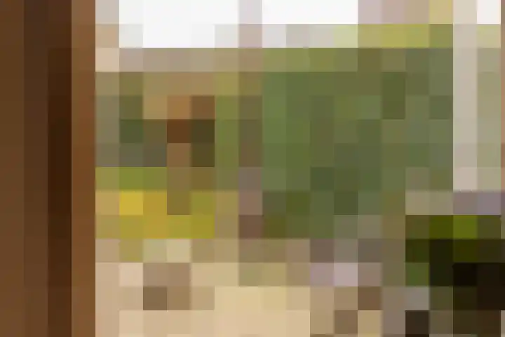 Vogelzwin 11 Sneek thumbnail 33