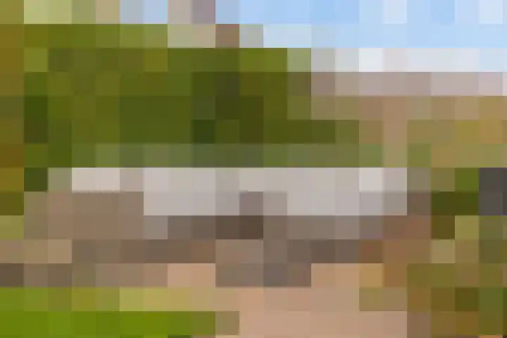 Vogelzwin 11 Sneek thumbnail 34