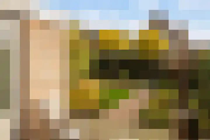 Vogelzwin 11 Sneek thumbnail 35