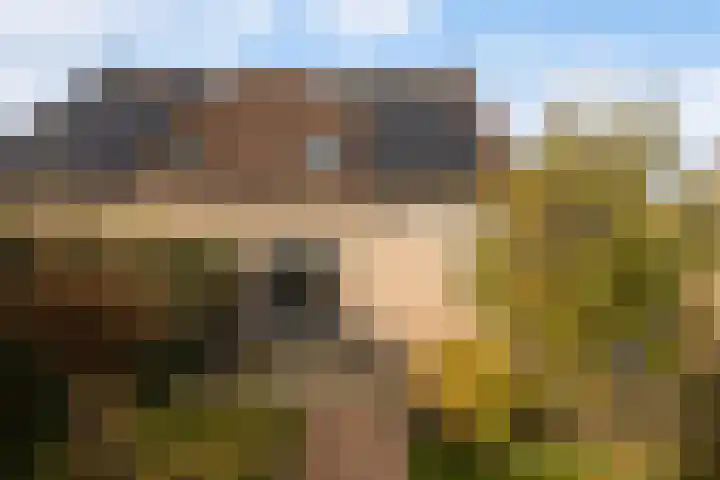 Vogelzwin 11 Sneek thumbnail 37