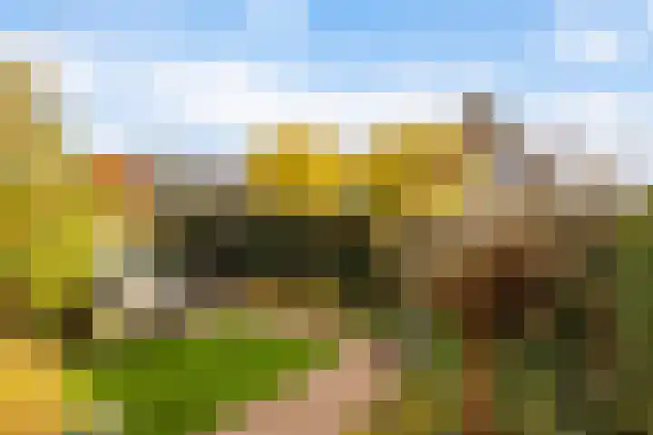 Vogelzwin 11 Sneek thumbnail 38