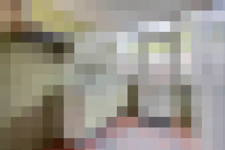 Vogelzwin 11 Sneek thumbnail 39