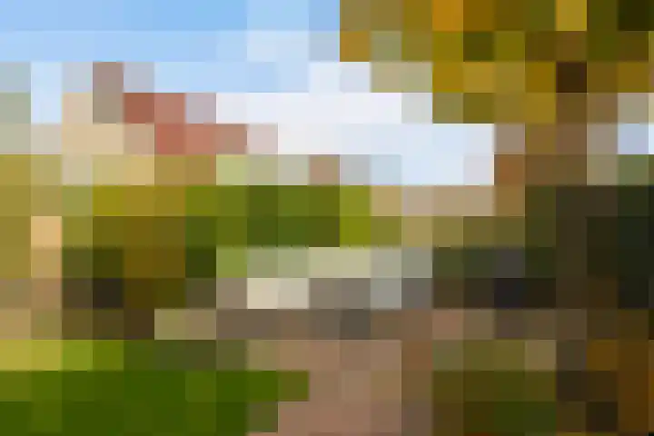 Vogelzwin 11 Sneek thumbnail 39