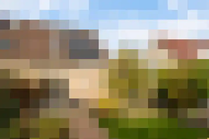 Vogelzwin 11 Sneek thumbnail 40