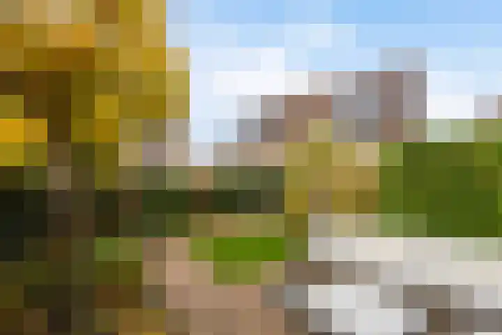 Vogelzwin 11 Sneek thumbnail 41