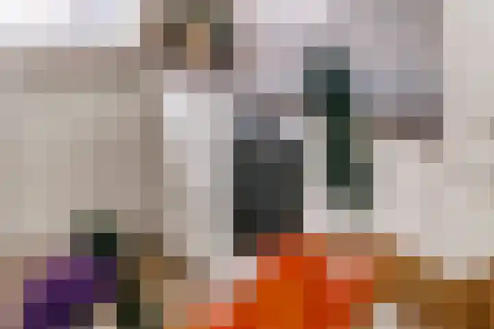 Vogelzwin 11 Sneek thumbnail 43