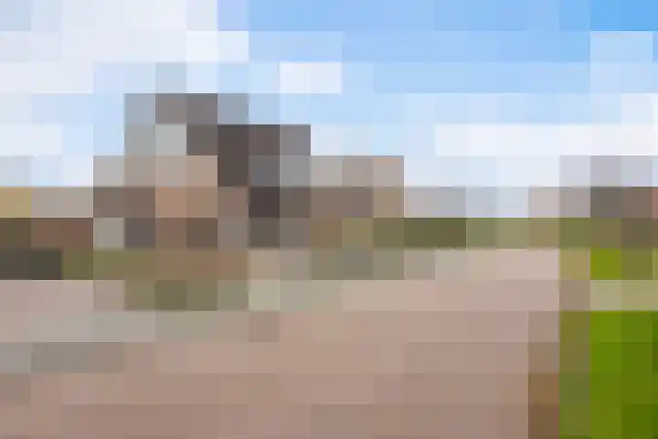 Vogelzwin 11 Sneek thumbnail 43