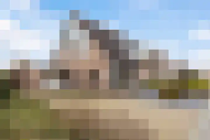 Vogelzwin 11 Sneek thumbnail 45