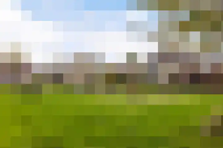 Vogelzwin 11 Sneek thumbnail 46