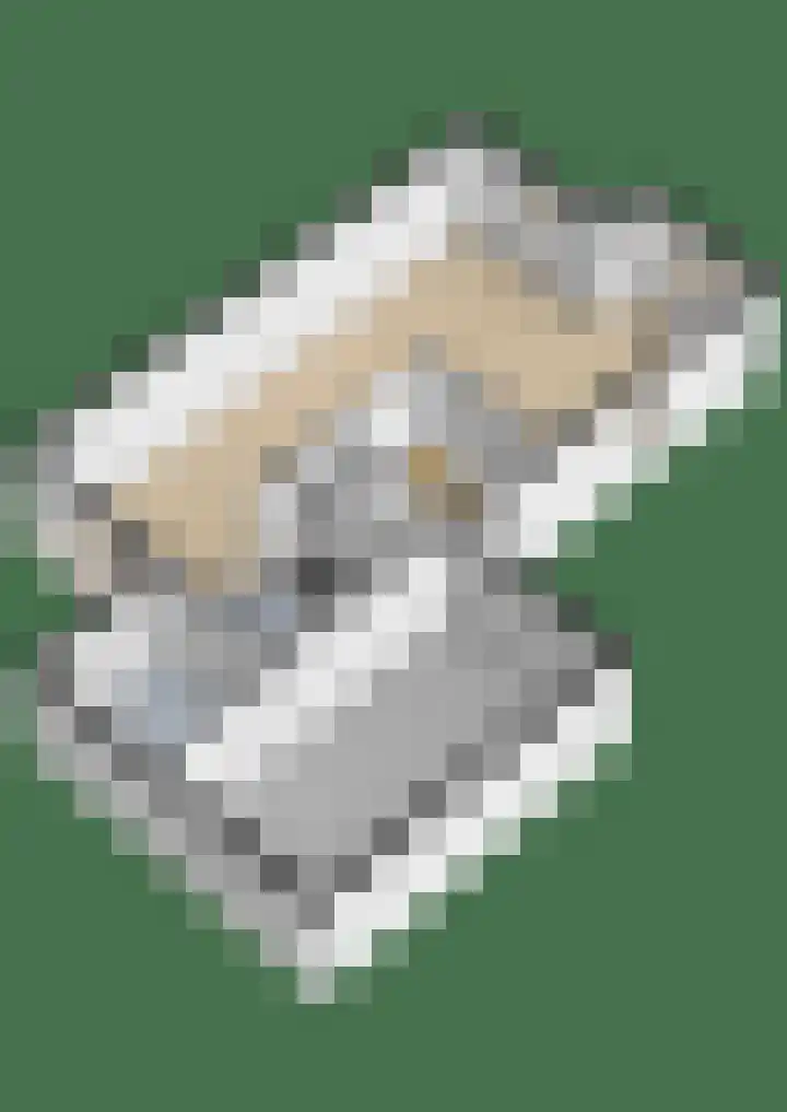 Vogelzwin 11 Sneek thumbnail 50