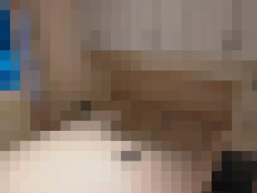 Vogelzwin 11 Sneek thumbnail 7