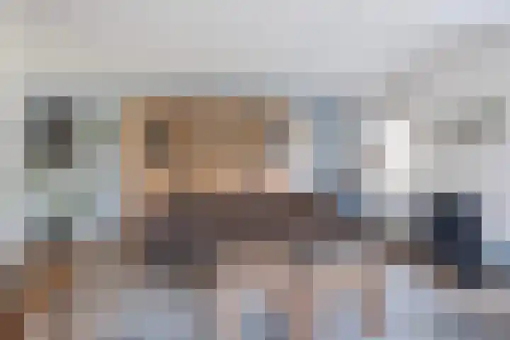 Vogelzwin 11 Sneek thumbnail 8