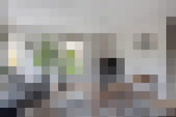 Vogelzwin 11 Sneek thumbnail 9