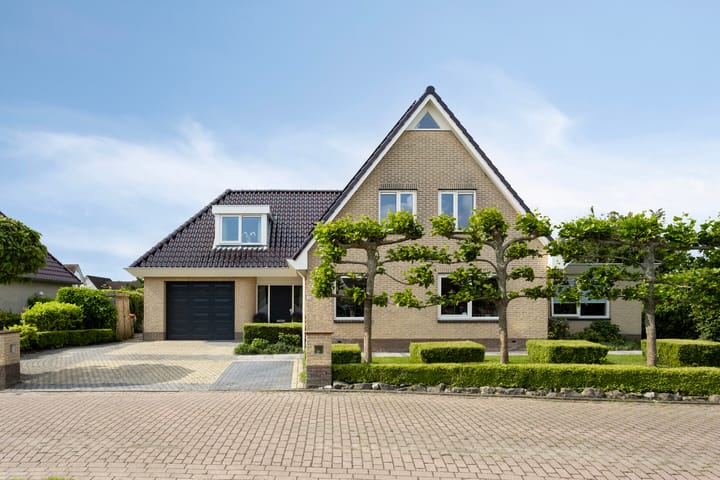 Vogelzwin 20 in Sneek foto