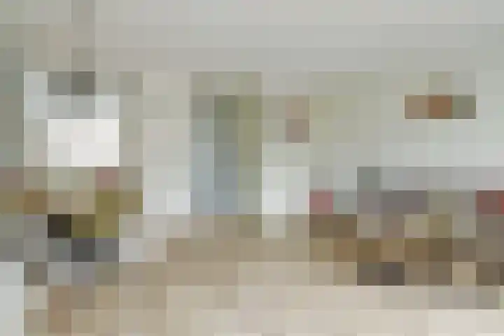 Vogezen 44 Assendelft thumbnail 15