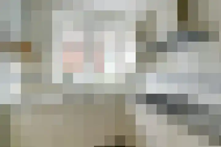 Vogezen 44 Assendelft thumbnail 19