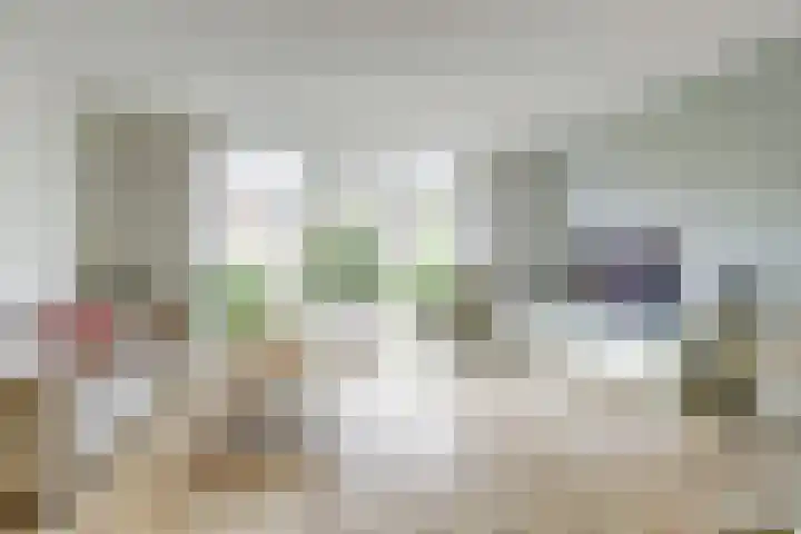 Vogezen 44 Assendelft foto 2