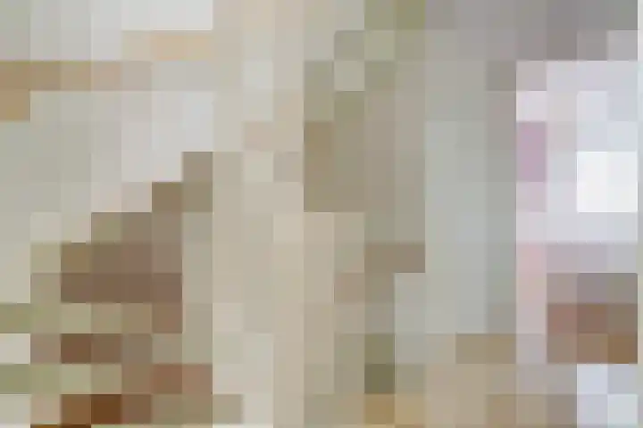 Vogezen 44 Assendelft thumbnail 21