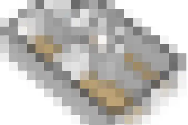 Vogezen 44 Assendelft thumbnail 50