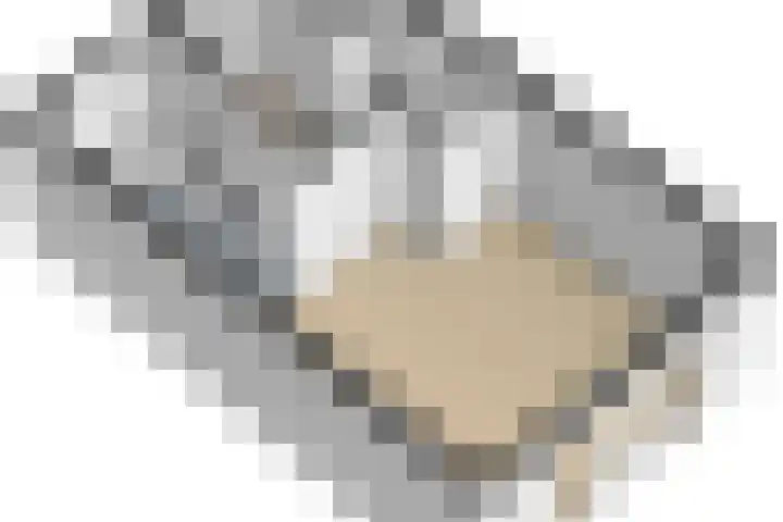 Vogezen 44 Assendelft thumbnail 53