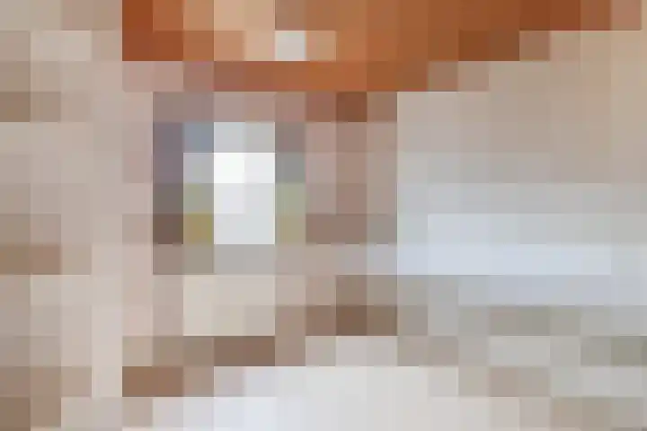 Voirt 34 Nuenen thumbnail 25