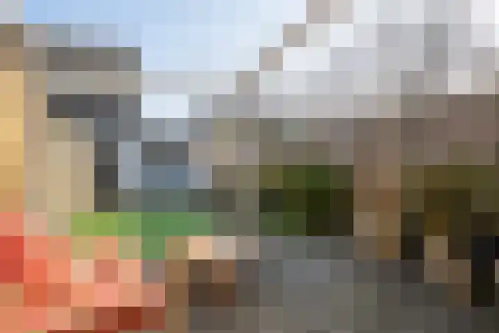Volder 2 Hoorn thumbnail 13