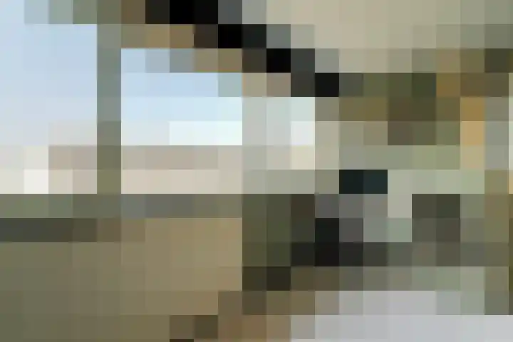 Volder 2 Hoorn thumbnail 33