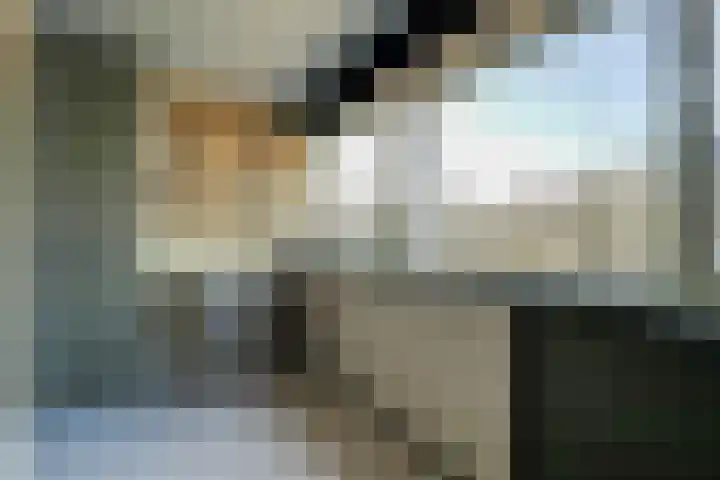 Volder 2 Hoorn thumbnail 35