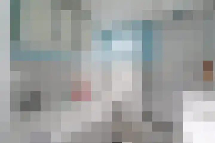 Volder 2 Hoorn thumbnail 37
