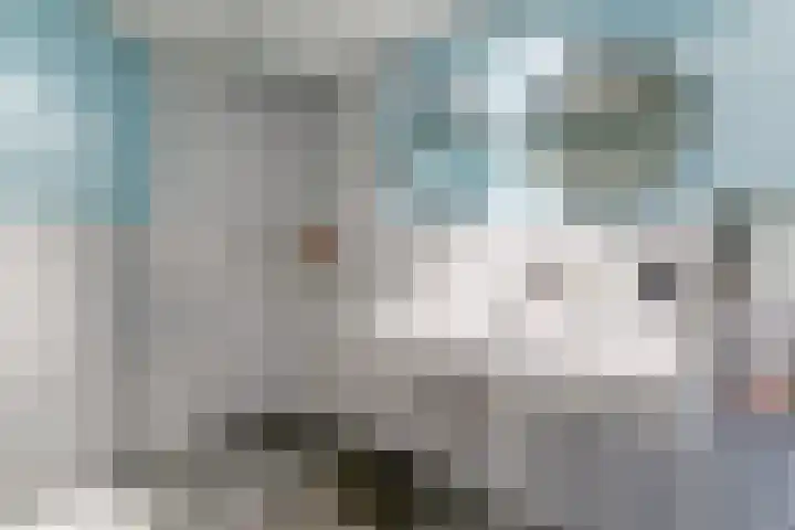 Volder 2 Hoorn thumbnail 38