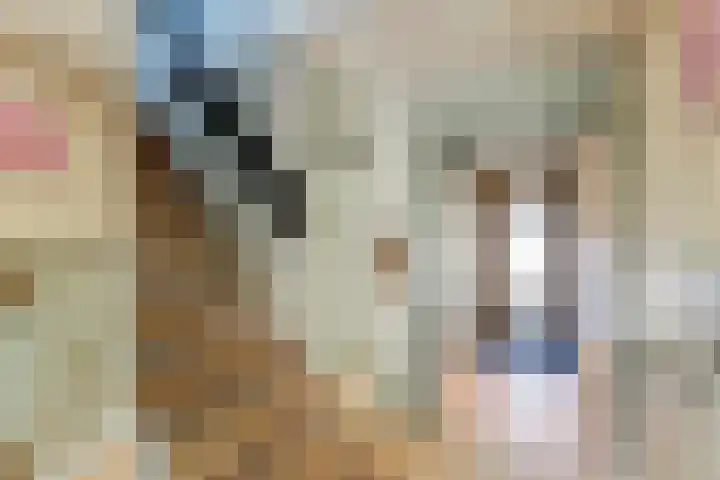Volder 2 Hoorn thumbnail 4