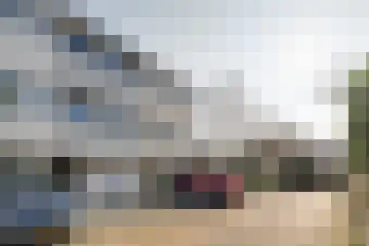 Volder 2 Hoorn thumbnail 44