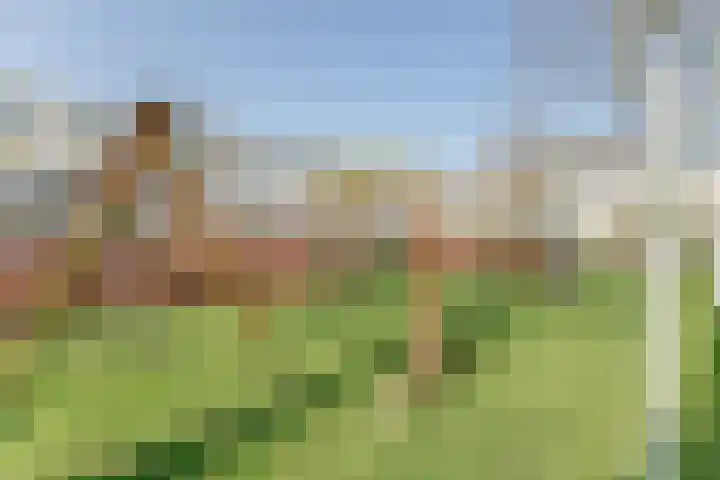 Volder 2 Hoorn thumbnail 45