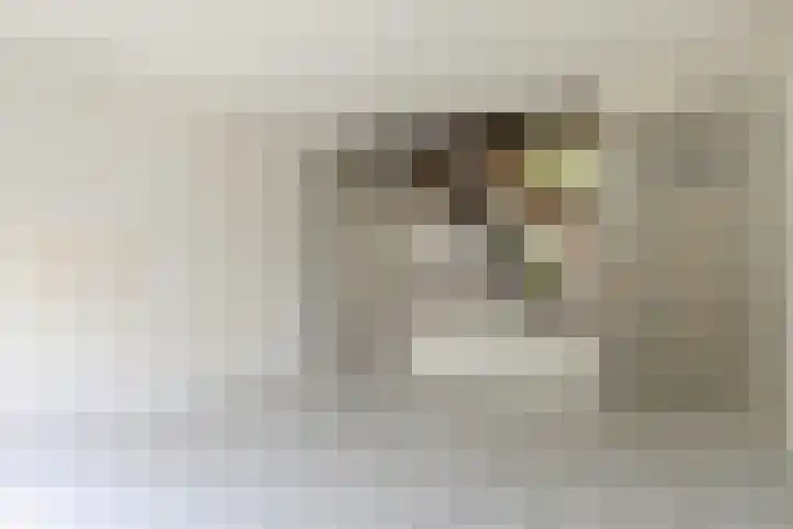 Volder 66 Hoorn thumbnail 11
